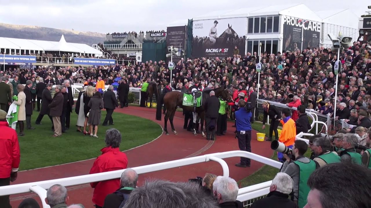 Cheltenham Festival 2014 -Champion Day-