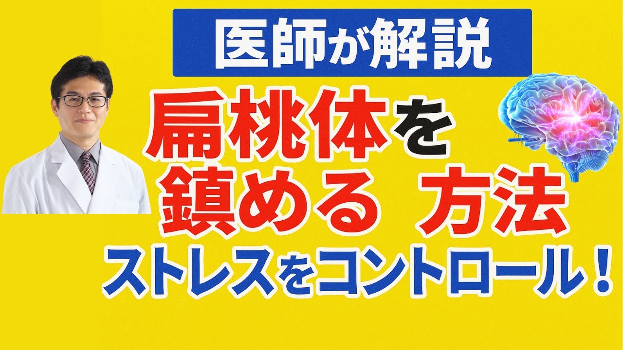 【医師が解説】扁桃体を鎮める方法｜栄養療法で不安を抑え、ストレスをコントロールする