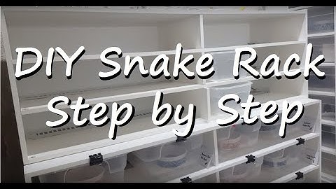 DIY Ball Python Rack