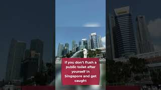 If You Dont Flush A Public Toilet After Yourself In Singapore And Get Caught