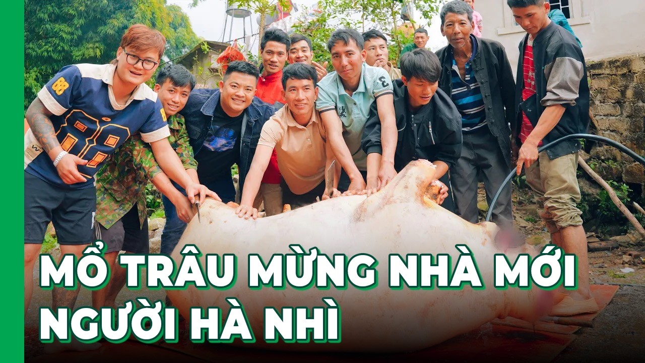 Hải SAPA TV cùng Nga Sumo tham gia mổ trâu mừng NHÀ MỚI của người Hà Nhì tại Lai Châu