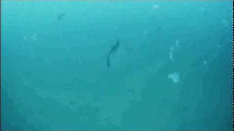 Digitech XP 300 Spacestation (demo song)