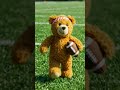 teddy bear playing football