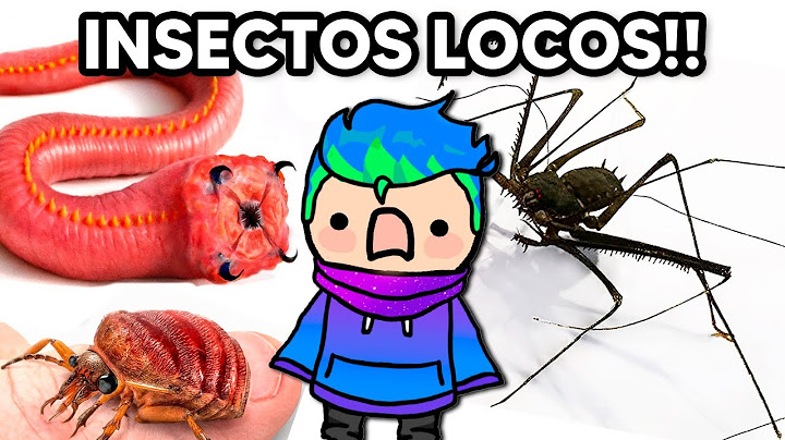 Consegui los INSECTOS mas LOCOS como MASCOTA🐜🦂🐞/ Carlos Infinito REACCIONA TerraVerde