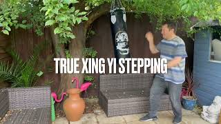 True Xing Yi Stepping Basics