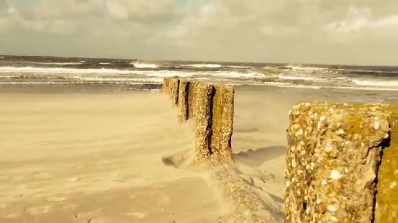 Boyle - Former Glory (Official Video)