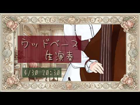 【ウッドベース生演奏】4/30のジャズスタンダード定期配信【#にこるの生演奏】【#作業用bgm 】