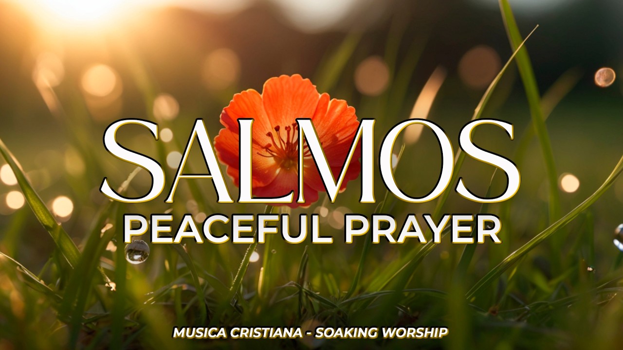 SALMOS CANTADOS para DORMIR en PAZ y PROFUNDAMENTE 🕊️ | Palabra de Dios ...