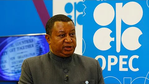 OPEC+ Countries 'Rapidly' Implementing Supply Cuts, Barkindo Says