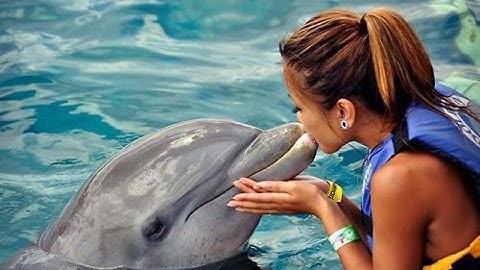 ОБУЧЕНИЕ MYSQL - Видеоурок№2 Работа с ОПЕРАТОРАМИ В MYSQL. Запросы и подпзапросы в БД.