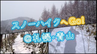 サラサラの雪が最高！スノーシューで巡る札幌市民の森@青山