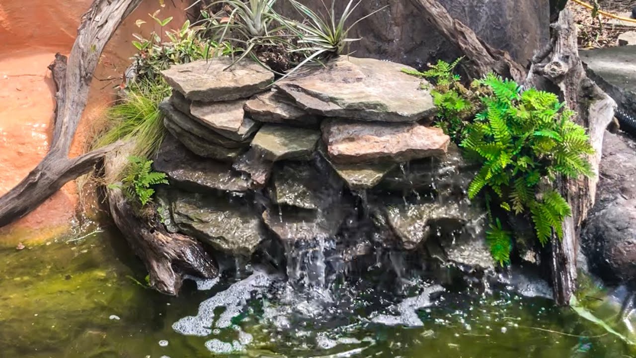 BUILDING My FILTER & WATERFALL! YouTube