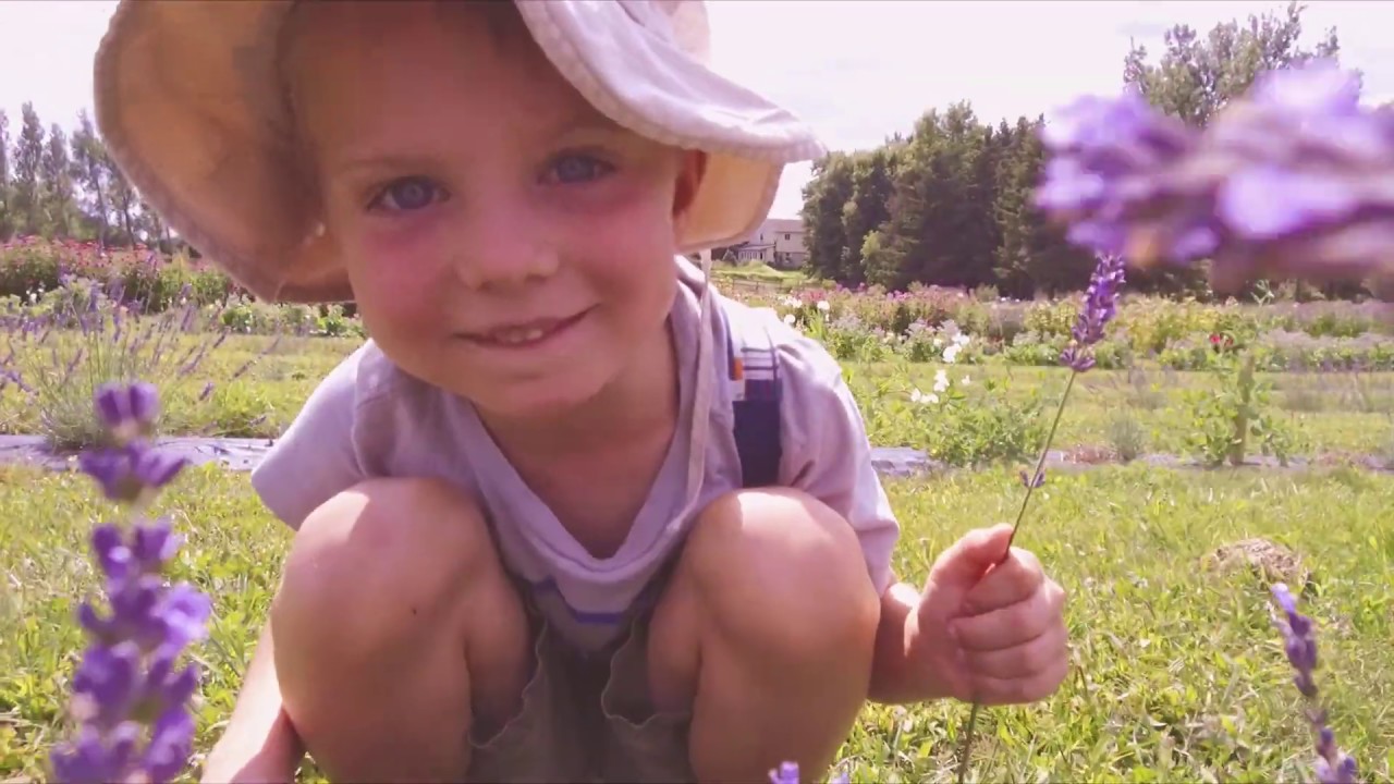 Lochland Botanicals: Pick Your Own Fresh Flowers & Herbs - YouTube