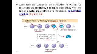 Chapter 5 The Structure and Function of  Large Biological Molecules Part I