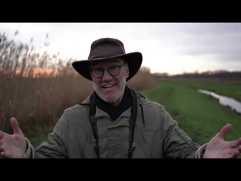 Vlog N° 220 De toendrarietganzen zijn er weer! / Tundra Bean Geese