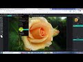 Pixlr Editor 2021, постеризация фотографий, инверсия и кривые