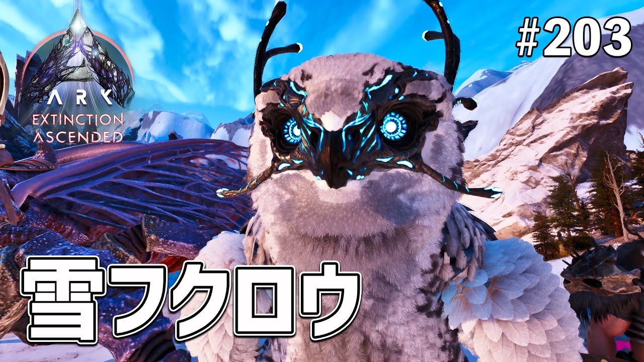 ASA] Taming the fluffy angel 