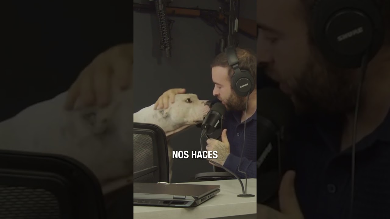 Cactus dándonos su valiosa opinión