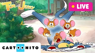 🔴 НА ЖИВО: Празник по случай годишнината на Том и Джери 🎂 | 24-часова компилация | @CartoonitoBG​