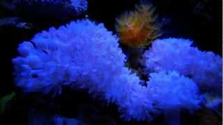 024.wmv
