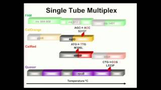 Construction & Evaluation of an M(X)DR-TB Multiplex Assay using LATE-PCR & Thermalight™ Probes