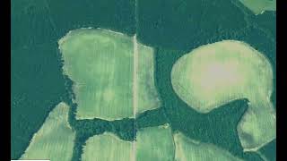 Forest Wetland Management - Skysat Stereo Las File