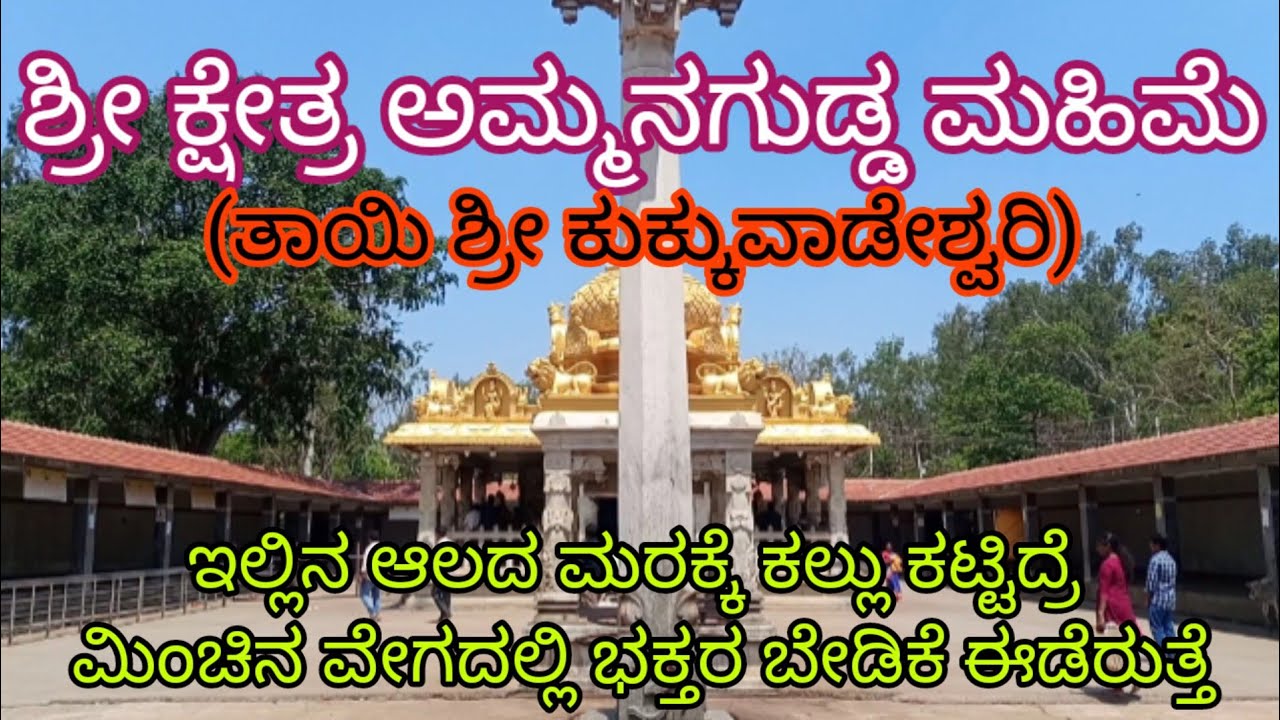 Kukkuvadeshwari | ಶ್ರೀ ಕುಕ್ಕುವಾಡೇಶ್ವರಿ ಅಮ್ಮನವರು | ಅಮ್ಮನಗುಡ್ಡ(ಜೊಳದಾಳ್) | ಚನ್ನಗಿರಿ ತಾಲ್ಲೂಕು | ದಾವಣಗೆರೆ