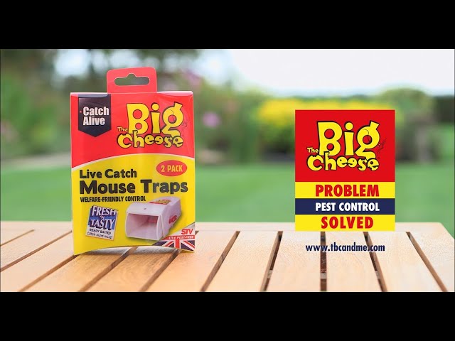 The Big Cheese Mouse Killer Kit (6 Sachets) STV245 