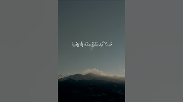 آية الكرسي القارئ سعد الغامدي