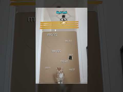 حتي الفأر لا يمكنه فعل ذلك 
