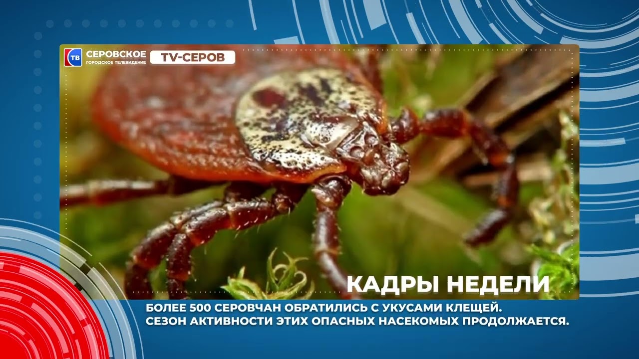 Кадры недели 17 21 июня 2024 #серовтв #серов