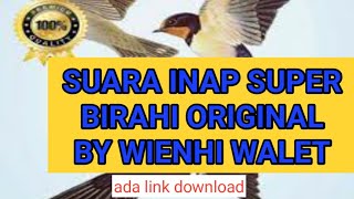 suara inap birahi by wienhi walet