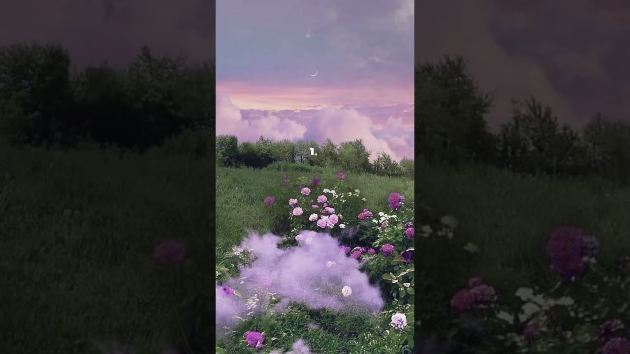 Where would you ponder life? 