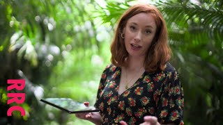 Hannah Fry @shoes off for science