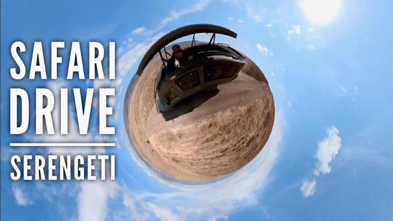 Safari Jeep Drive in Tanzania