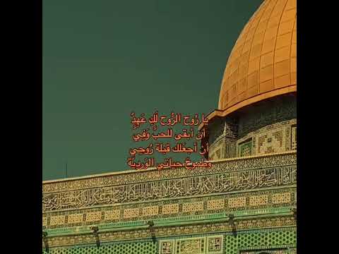 تصميمي يا روح الروح لك عهد