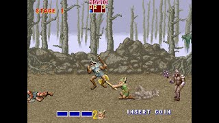 Golden Axe - Arcade Longplay (Gilius Thunderhead) screenshot 2