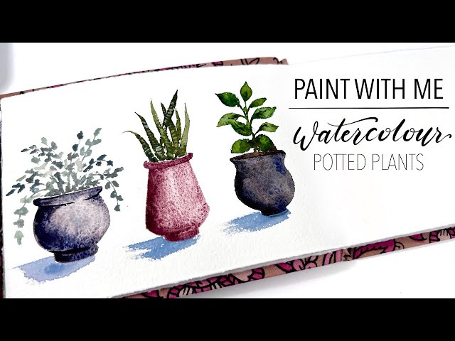 best potting mix for cactus Christmas Cactus Potting Soil main image 0