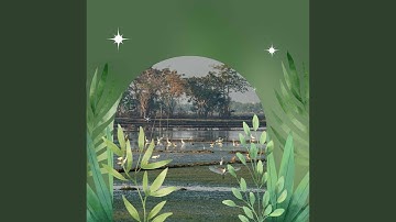 Superlative Backdrops for Calming and Relaxing