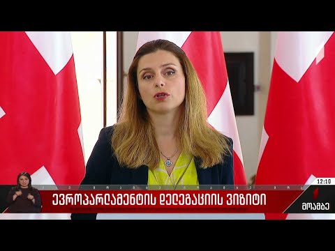 ევროპარლამენტის დელეგაციის ვიზიტი