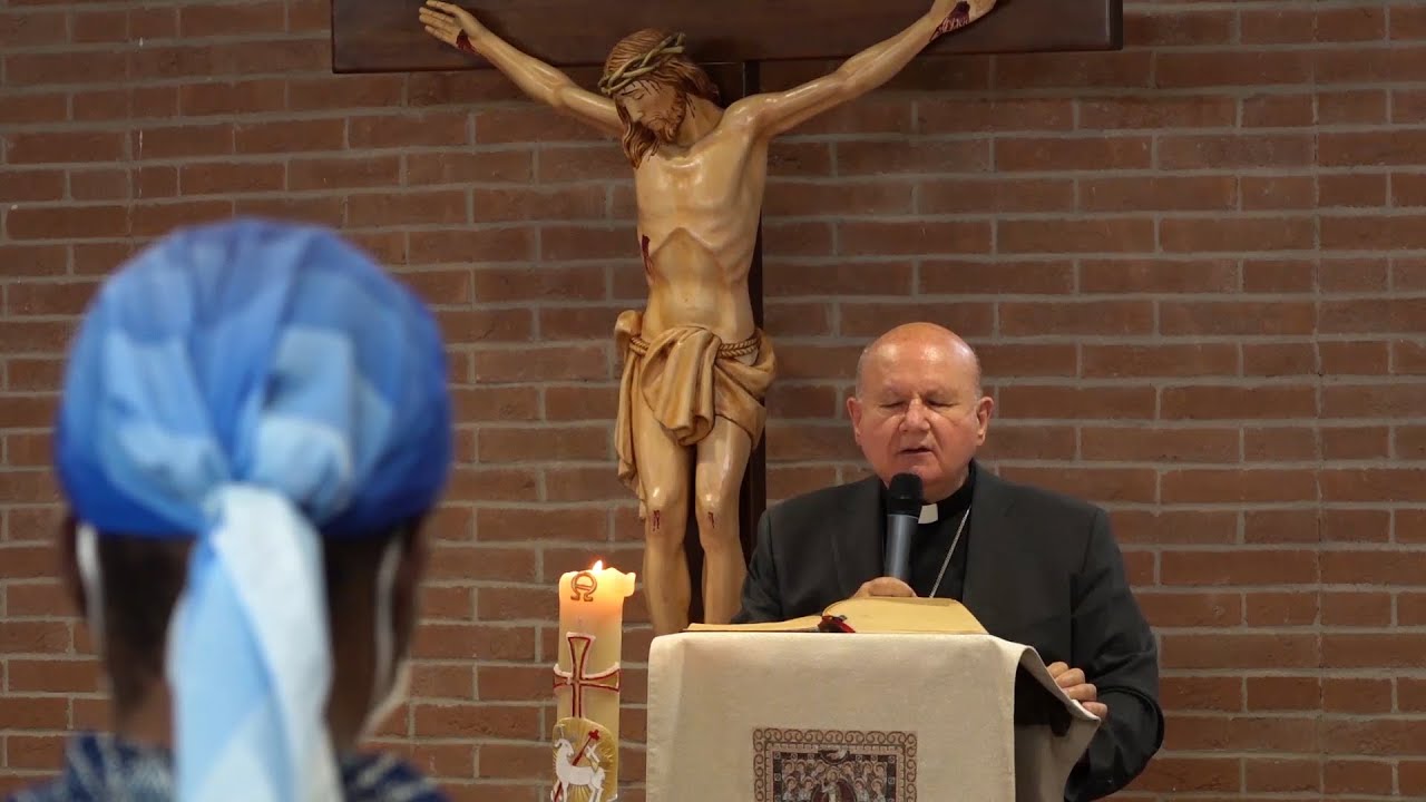 Videogiornale diocesano n. 195 del 23 novembre 2022 YouTube