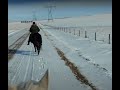 Alberta Ditch Riding and Ramblings