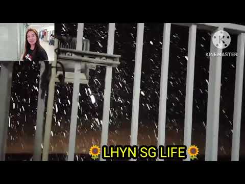 THE SNOWFALL