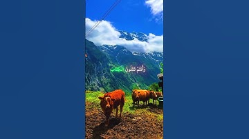 استمع لآيات من القرآن الكريم تشرح الصدور وتريح القلوب🌹#القرآن #تلاوة_قرآن #islam #اكسبلور #islamic