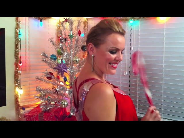 Santa's Disco (Tech House Xmas Mix) Fred Schneider vs DJ Industrial Badger