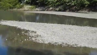 Río Senguer Sarmiento Chubut