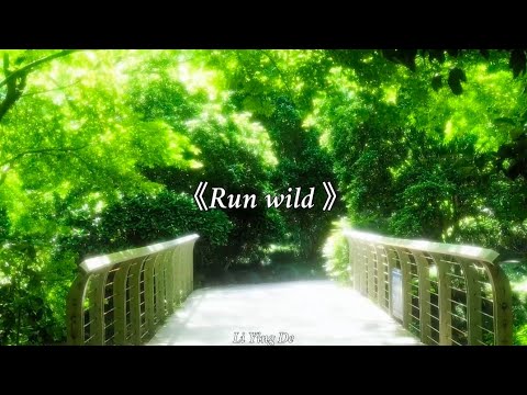 Run Wild(向风而野)-是晚星呀 | 作词:Ray锐