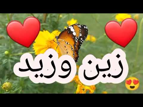 أغنية أسم زين وزيد زين وزيد زين زيد اغاني اغنية اسمك بأغنية