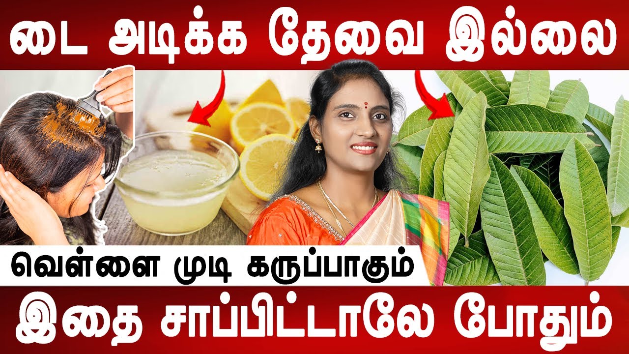 பொடுகு மறைந்து முடி கொட்டுவது நிற்கும் | Hair fall control | White hair homeremedy | Mr ladies