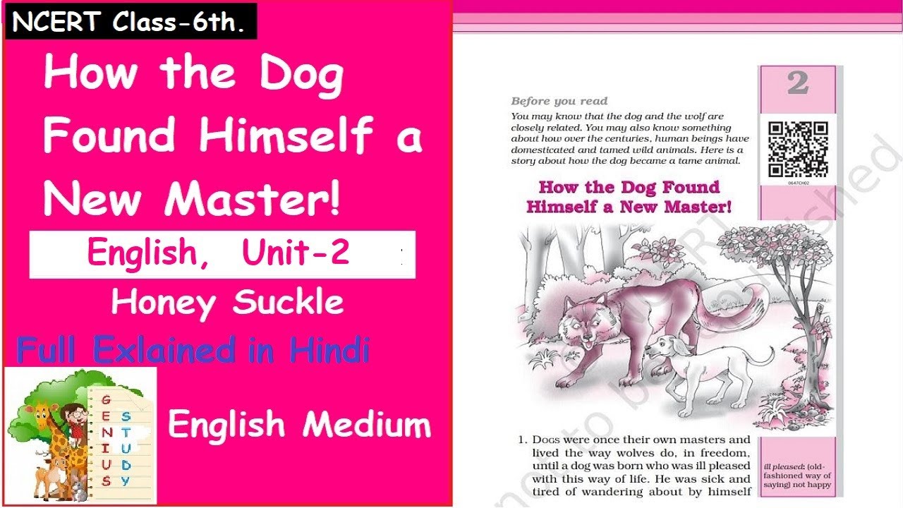 Class 6 English Chapter 2 Explanation Class 6 English How The Dog